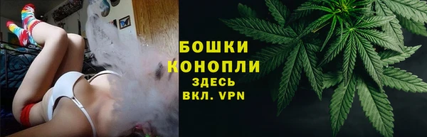 PSILOCYBIN Алексеевка
