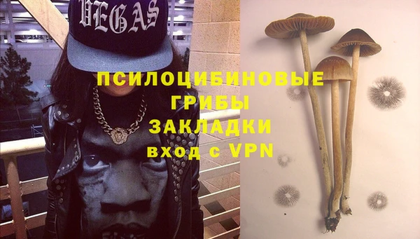PSILOCYBIN Алексеевка