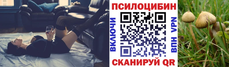 что такое   Гуково  Псилоцибиновые грибы GOLDEN TEACHER 
